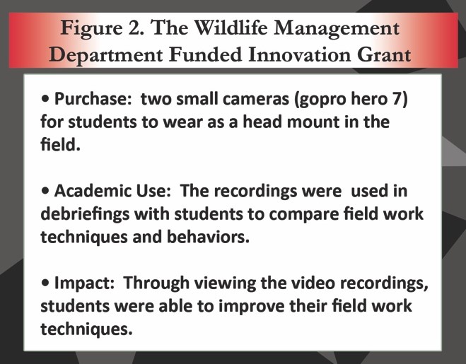 —Purchase: two small cameras (gopro hero 7) for students to wear as a head mount in the field. —Academic Use: The recordings were used in debriefings with students to compare field work techniques and behaviors. —Impact: Through viewing the video recordings, students were able to improve their field work techniques